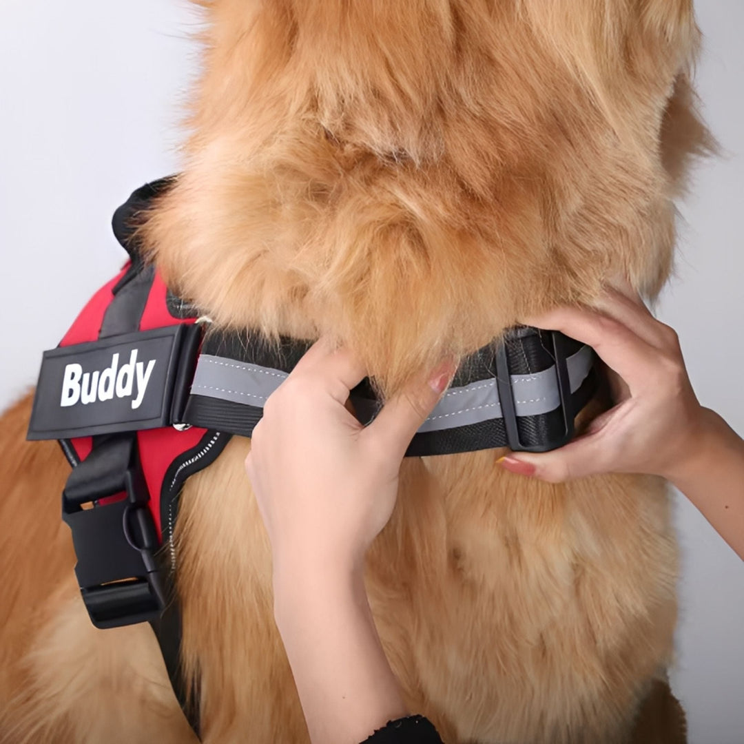 Personlig tilpassbar hundesele – reflekterende og støttende design