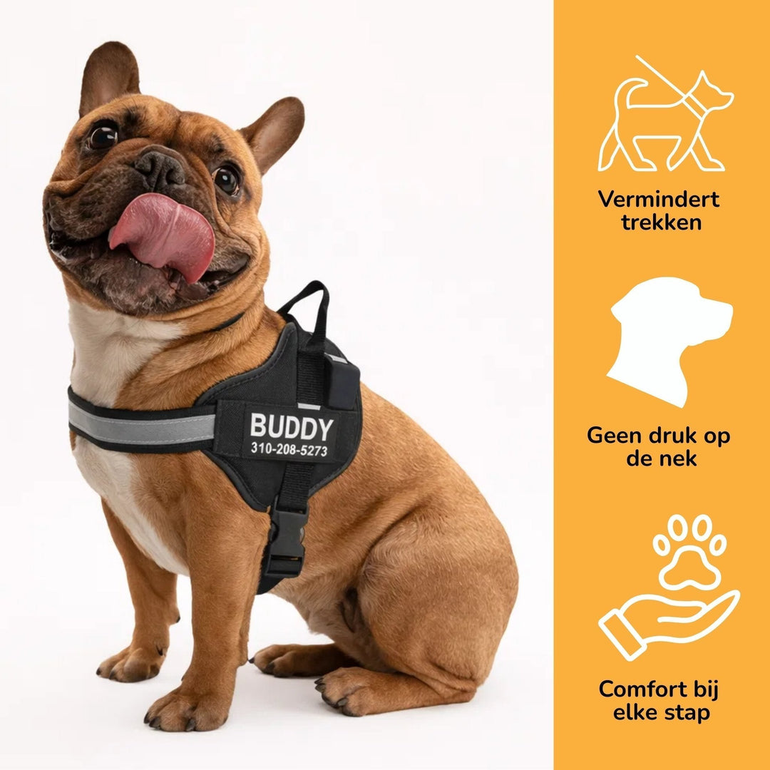 Personlig tilpassbar hundesele – reflekterende og støttende design