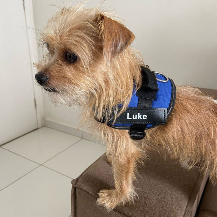 Personlig tilpassbar hundesele – reflekterende og støttende design