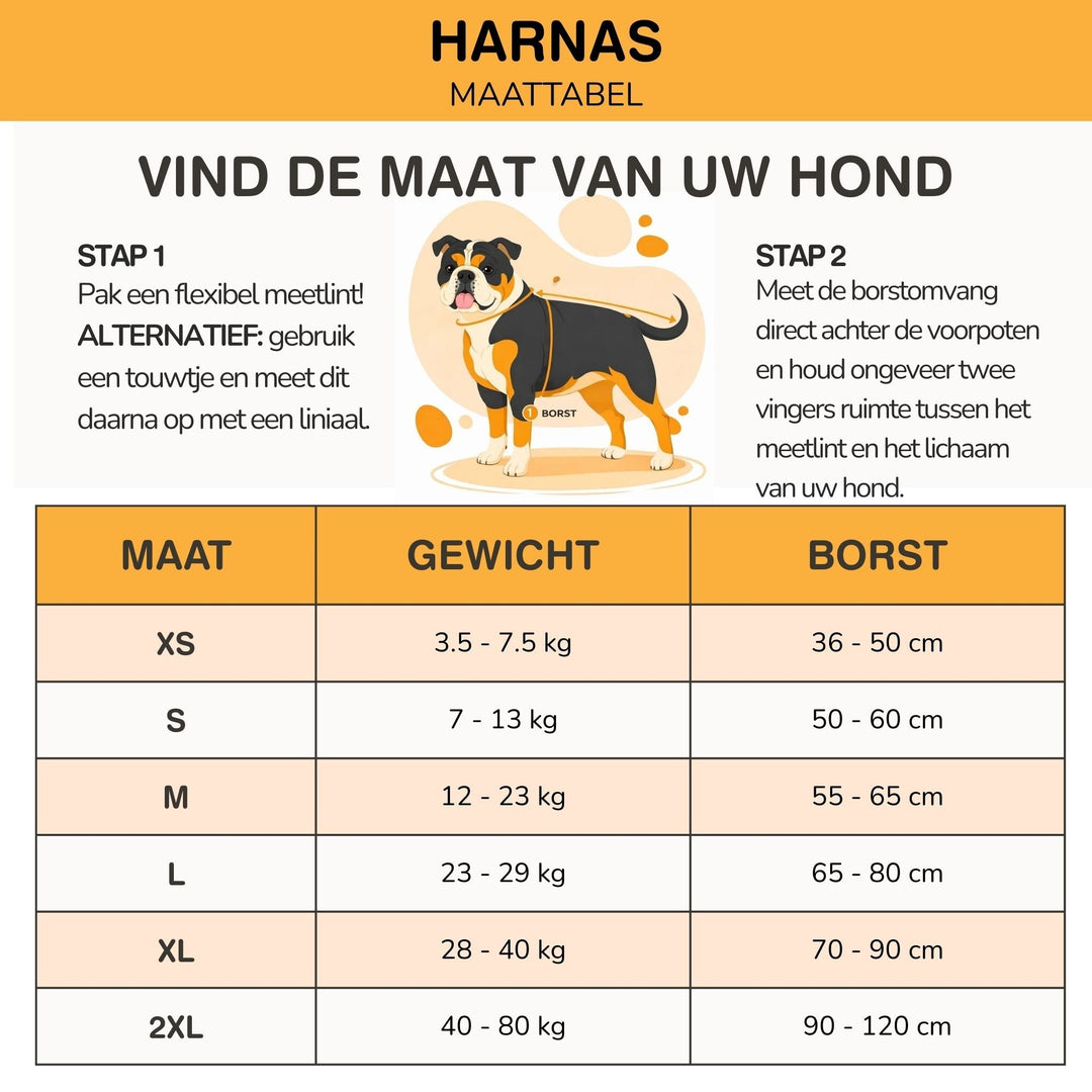 Personlig tilpassbar hundesele – reflekterende og støttende design
