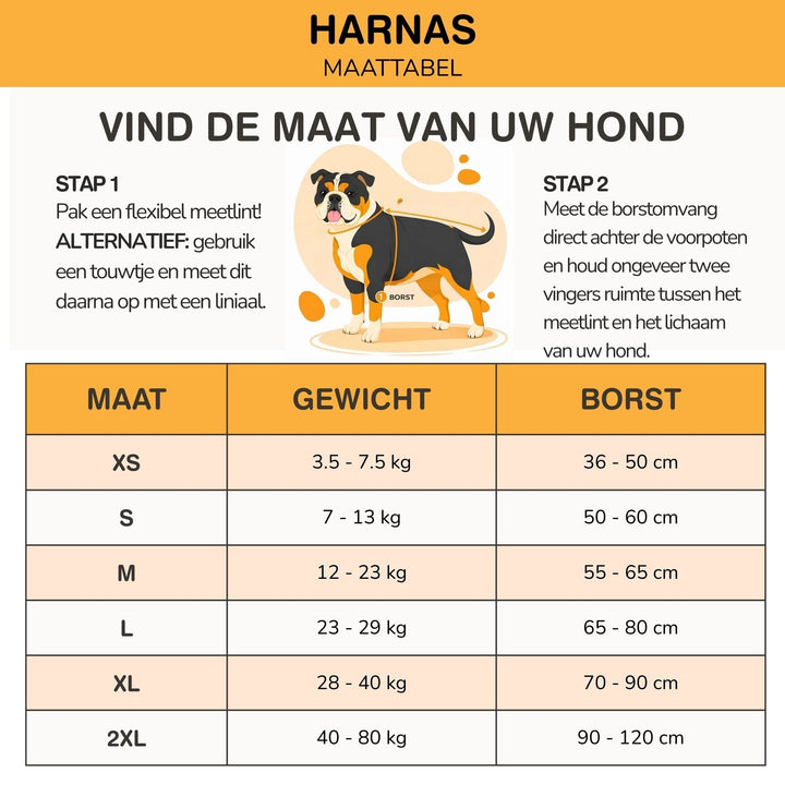 Personlig tilpassbar hundesele – reflekterende og støttende design