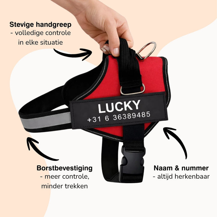Personlig tilpassbar hundesele – reflekterende og støttende design