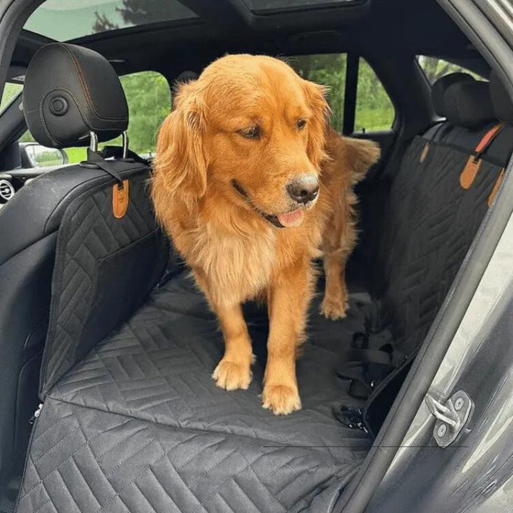 Vanntett setebeskytter for hund til bakseten med stiv bunn og memoryskum-seng