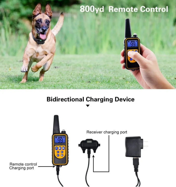 Elektrisk hundetreningshalsbånd – trygt, effektivt, vanntett