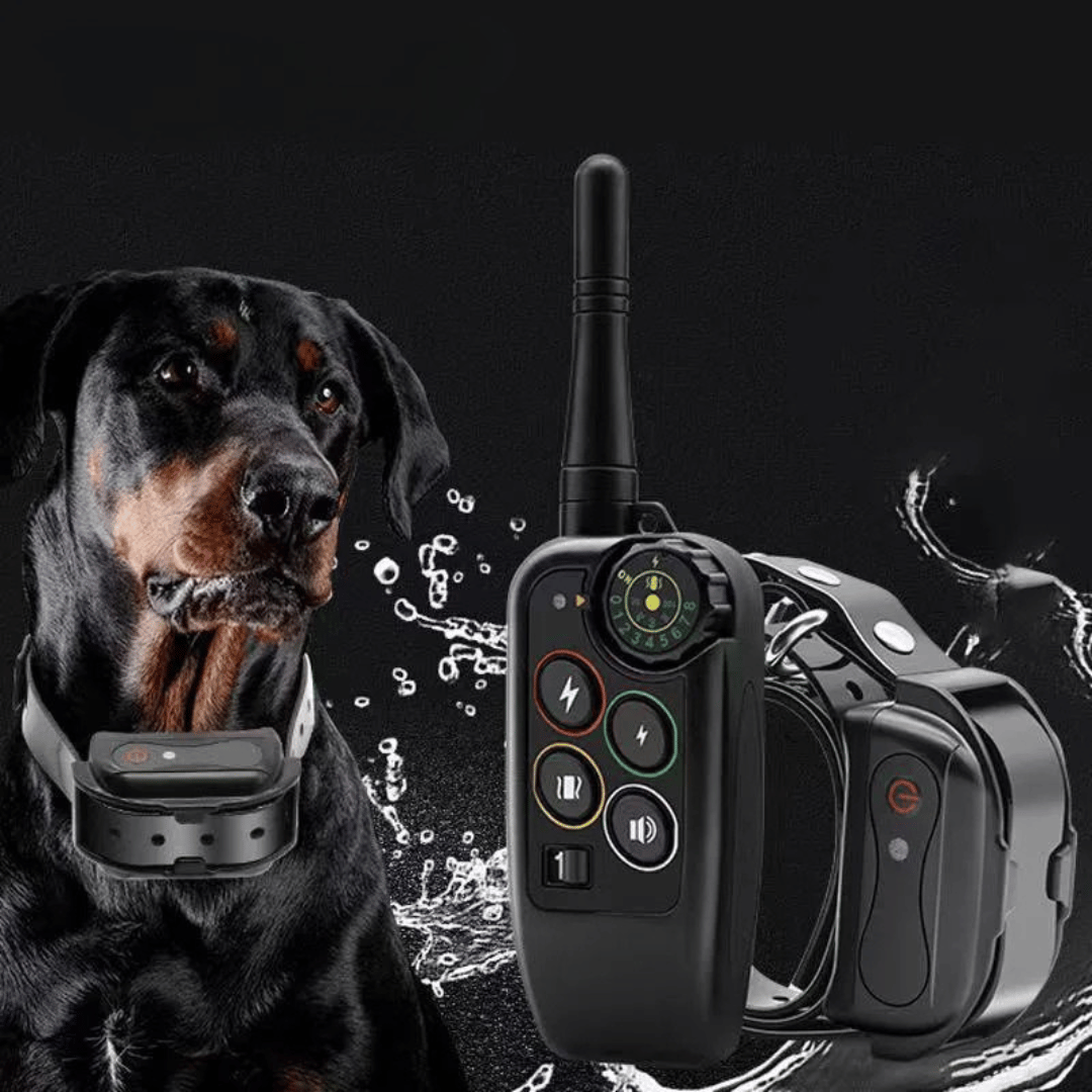 Elektronisk hundetreningshalsbånd, vanntett med lang rekkevidde på 1000 m og fjernkontroll