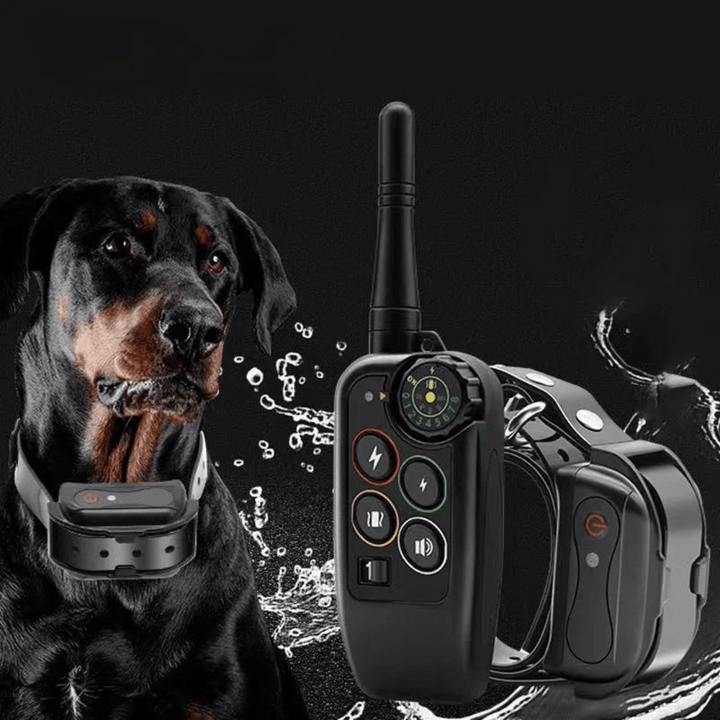 Elektronisk hundetreningshalsbånd, vanntett med lang rekkevidde på 1000 m og fjernkontroll