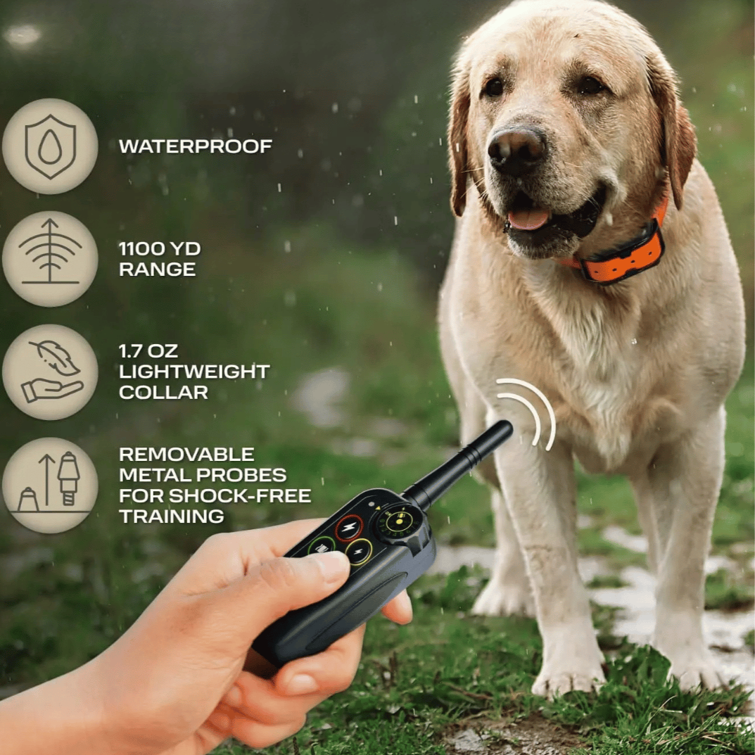 Elektronisk hundetreningshalsbånd, vanntett med lang rekkevidde på 1000 m og fjernkontroll