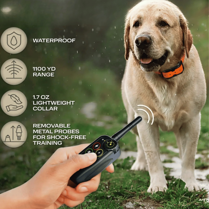 Elektronisk hundetreningshalsbånd, vanntett med lang rekkevidde på 1000 m og fjernkontroll